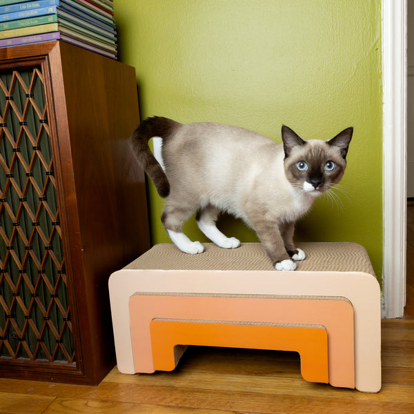 Load image into Gallery viewer, The Waterfall Scratcher - Gingerella