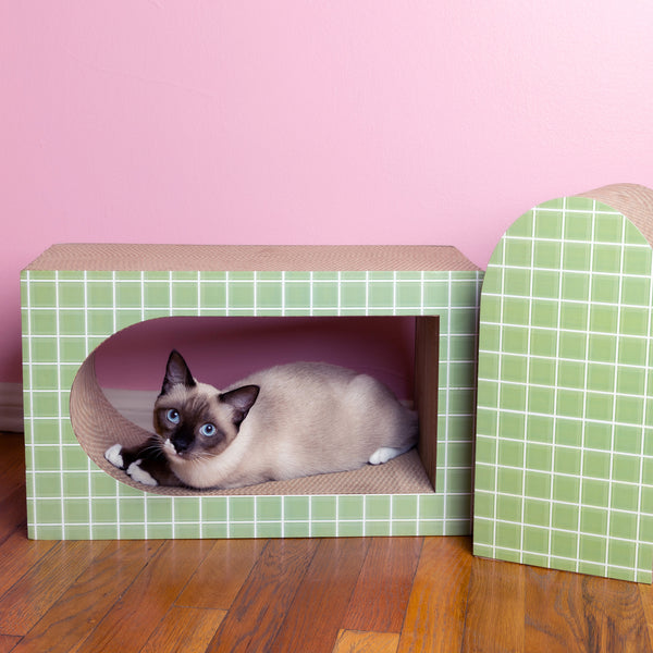 Load image into Gallery viewer, The Portal Scratcher Set - Limelight
