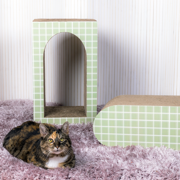 Load image into Gallery viewer, The Portal Scratcher Set - Limelight
