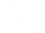Wildcat